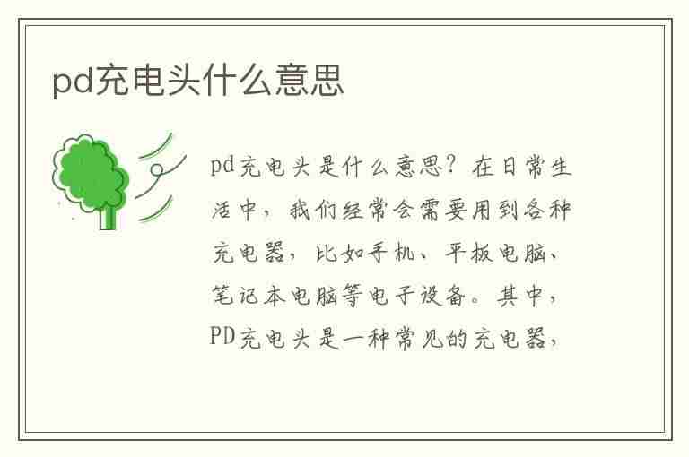 pd充电头什么意思(usb跟pd充电线区别)